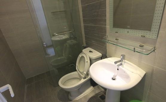 serviced apartment for rent in district 1 D199555 (4)